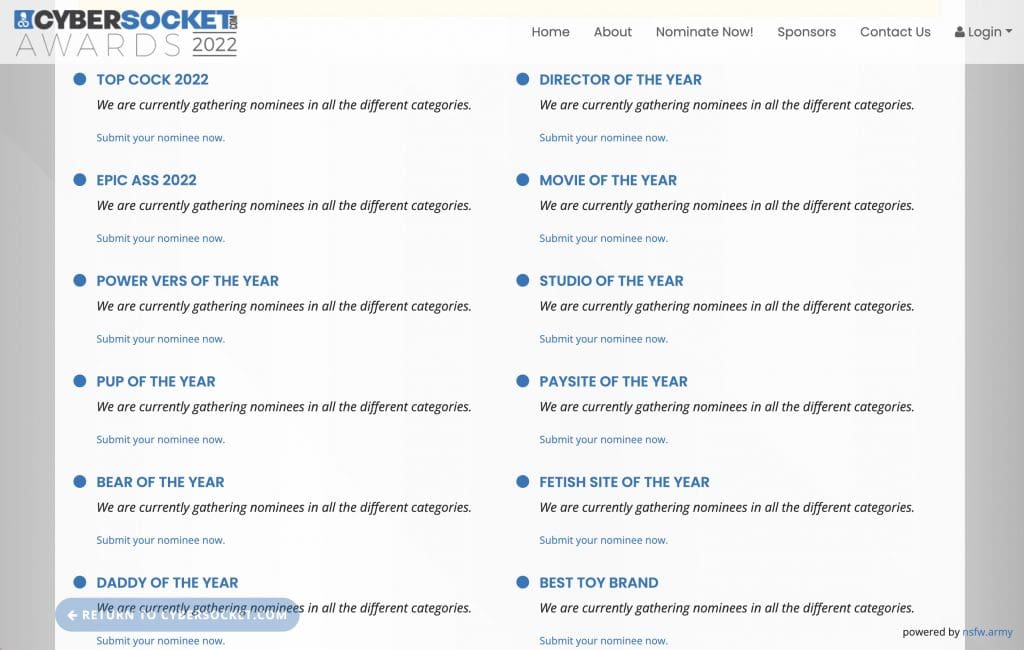cybersocket awards