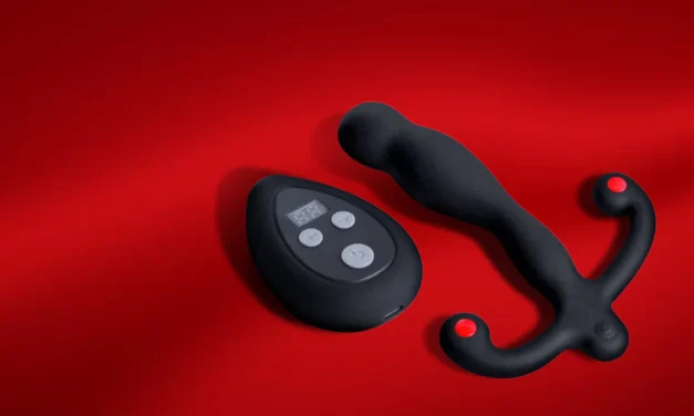 ANEROS® Vibrates at the XBIZ Honors Awards and Vibe Expo!