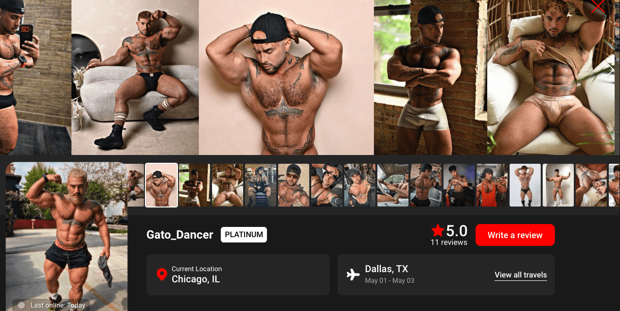 Bodybuilder Gay Escort of the Week: Gato_Dancer