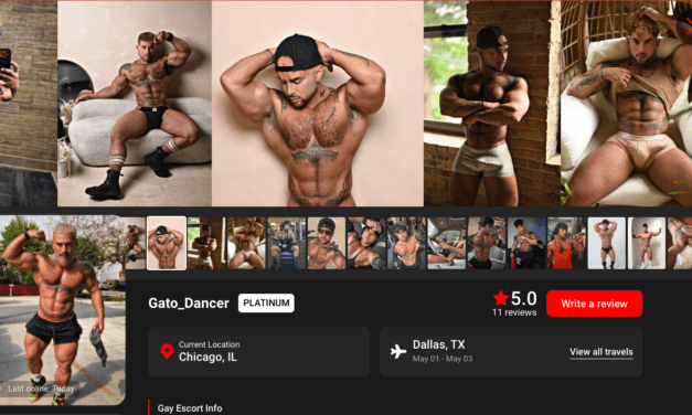 Bodybuilder Gay Escort of the Week: Gato_Dancer